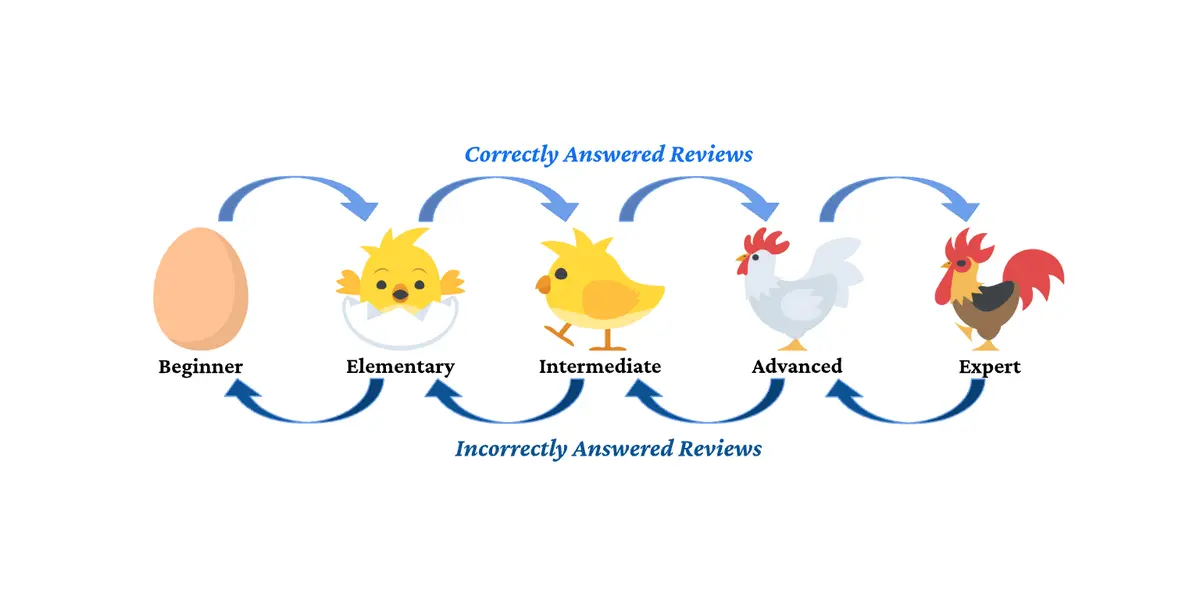 Spaced Repetition for Learning French: A Practical Guide